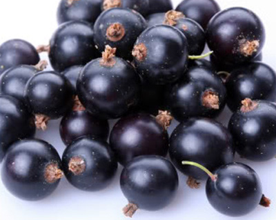 Is the Acai Berry really a superfood?